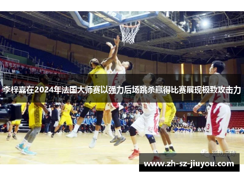 李梓嘉在2024年法国大师赛以强力后场跳杀赢得比赛展现极致攻击力 李梓嘉在2024年法国大师赛以强力后场跳杀赢得比赛展现极致攻击力