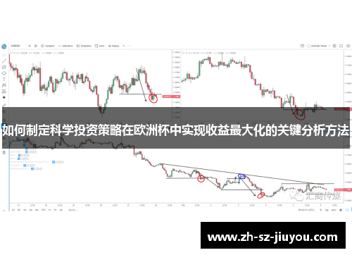 如何制定科学投资策略在欧洲杯中实现收益最大化的关键分析方法