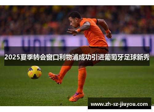 2025夏季转会窗口利物浦成功引进葡萄牙足球新秀 2025夏季转会窗口利物浦成功引进葡萄牙足球新秀