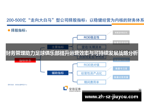 财务管理助力足球俱乐部提升运营效率与可持续发展战略分析